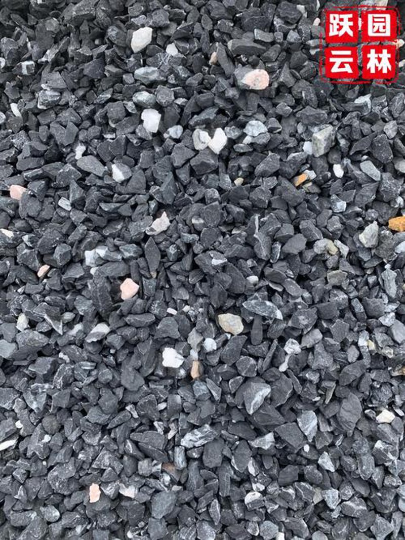 水泥价格涨跌不定，行业动态尽在掌握